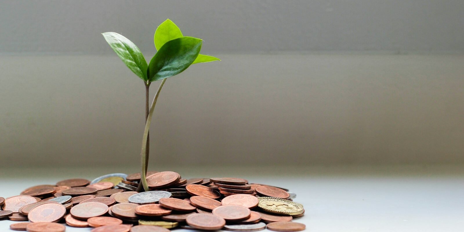 How Much Should You Have in an Emergency Fund?