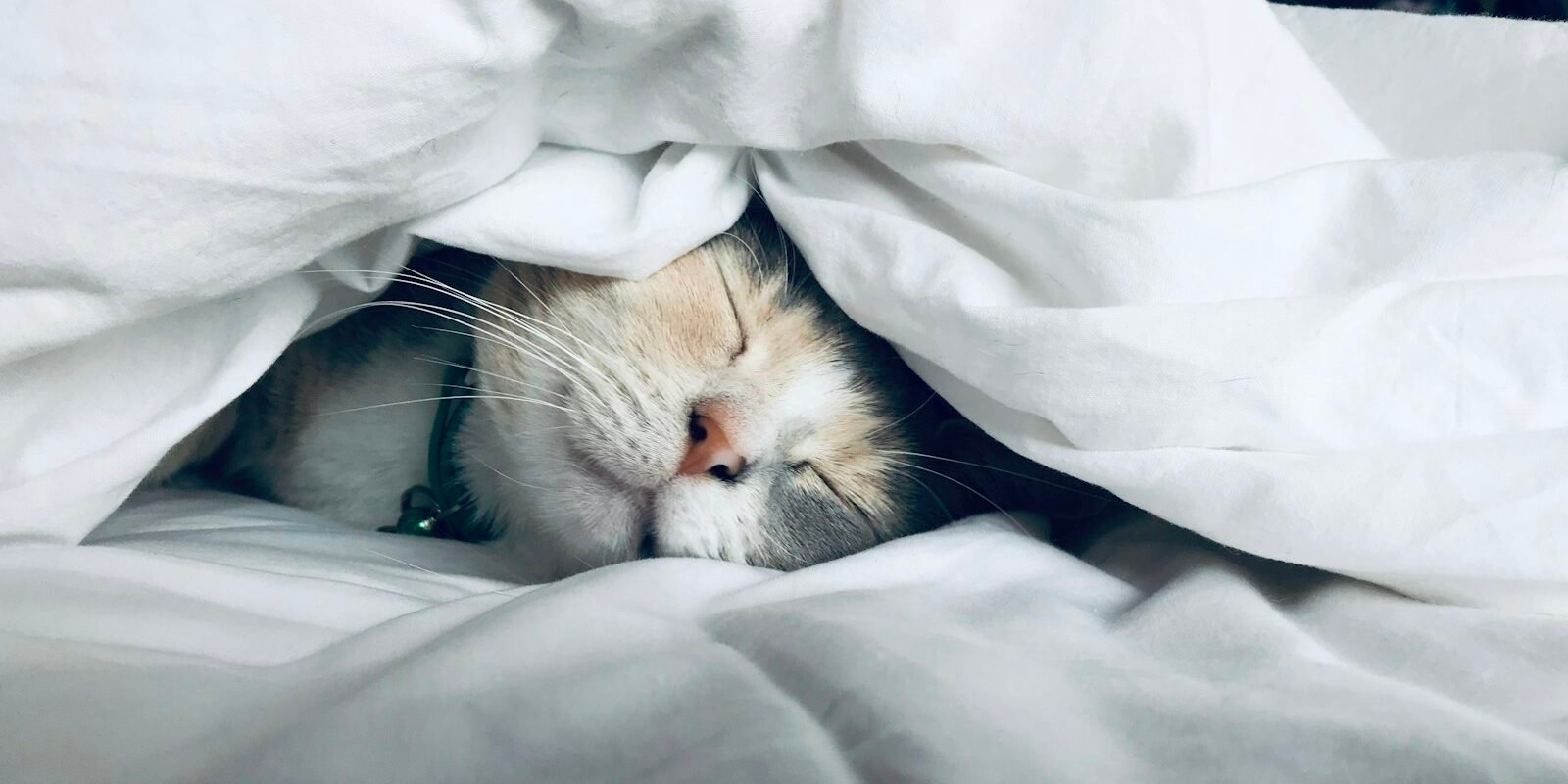 How to Improve Sleep Quality Naturally: 12 Habits That Work
