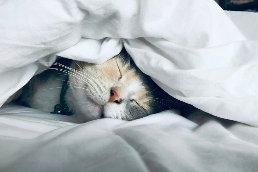 How to Improve Sleep Quality Naturally: 12 Habits That Work